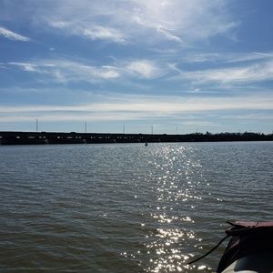 Meet your Posher, Annette